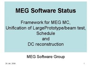 MEG Software Status Framework for MEG MC Unification