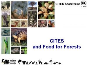 CITES Secretariat CITES and Food for Forests 1