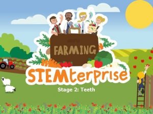 Stage 2 Teeth Learning Objective To identify the