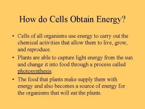 How do cells obtain the energy they need