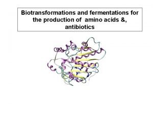 Biotransformations and fermentations for the production of amino