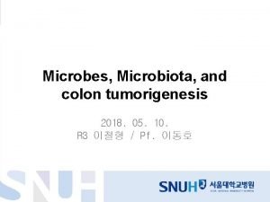 Microbes Microbiota and colon tumorigenesis 2018 05 10