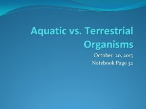 Differences between aquatic and terrestrial ecosystems
