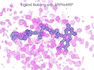 Ligand Building with ARPw ARP Automated Model Building