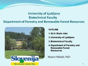 University of Ljubljana Biotechnical Faculty Department of Forestry