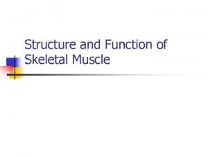 Structure and Function of Skeletal Muscle Skeletal Muscle