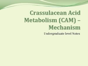 Crassulacean Acid Metabolism CAM Mechanism Undergraduate level Notes