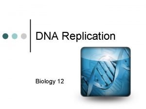 Dna replication fork