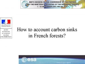 How to account carbon sinks in French forests