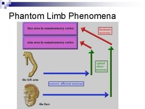 Phantom Limb Phenomena Hand movement observation by individuals