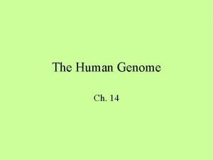 The Human Genome Ch 14 The Genome A