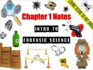 List and describe the different branches of Forensic