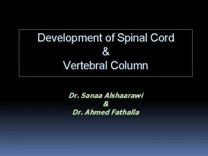 Development of Spinal Cord Vertebral Column Dr Sanaa