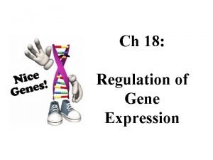 Chapter 18: regulation of gene expression