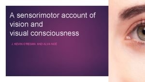 A sensorimotor account of vision and visual consciousness