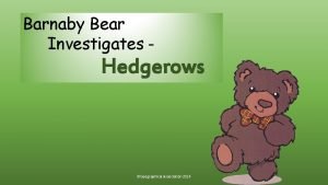 Barnaby Bear Investigates Hedgerows Geographical Association 2014 Hello