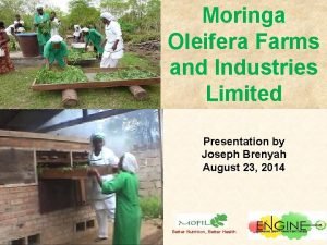 Moringa Oleifera Farms and Industries Limited Presentation by