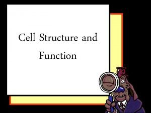 Cell Structure and Function All living things are