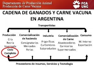 CADENA DE GANADOS Y CARNE VACUNA EN ARGENTINA