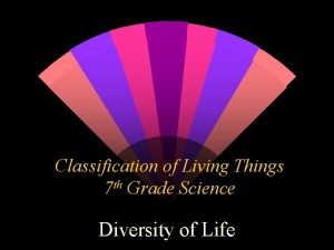 What are the 7 classifications of living things