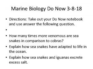 Marine Biology Do Now 3 8 18 Directions