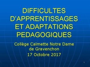 DIFFICULTES DAPPRENTISSAGES ET ADAPTATIONS PEDAGOGIQUES Collge Calmette Notre