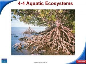 4 aquatic ecosystems