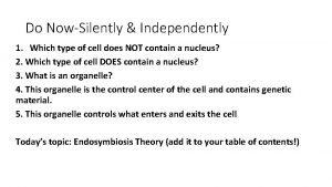 Eukaryotic cell questions