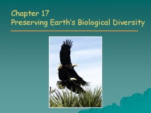 Chapter 17 Preserving Earths Biological Diversity Overview of