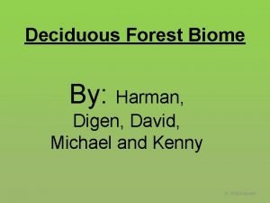 Deciduous Forest Biome By Harman Digen David Michael