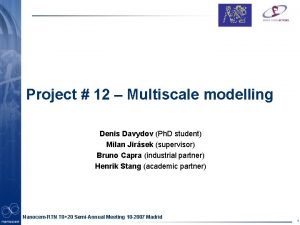 Partner logo here Project 12 Multiscale modelling Denis