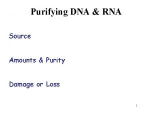 Purifying DNA RNA Source Amounts Purity Damage or