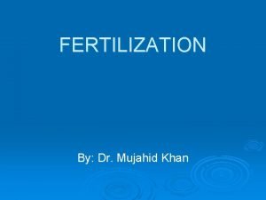 FERTILIZATION By Dr Mujahid Khan Fertilization Is a