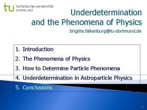 Underdetermination and the Phenomena of Physics brigitte falkenburgtudortmund