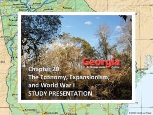 Chapter 20 The Economy Expansionism and World War