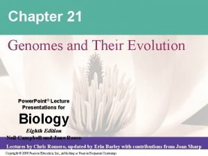 Chapter 21 Genomes and Their Evolution Power Point