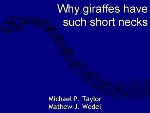 Why giraffes have such short necks Michael P