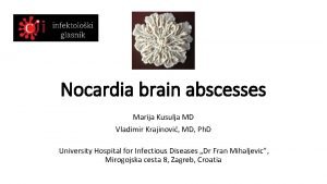 Nocardia brain abscesses Marija Kusulja MD Vladimir Krajinovi