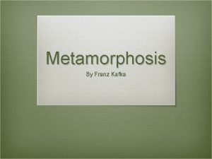 The metamorphosis activities