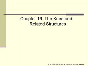 Chapter 16 worksheet the knee and related structures