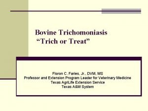 Bovine Trichomoniasis Trich or Treat Floron C Faries