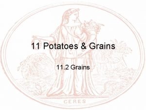 11 Potatoes Grains 11 2 Grains Objectives Outline