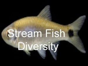 Stream Fish Diversity Ecological Principles of Diversity 1