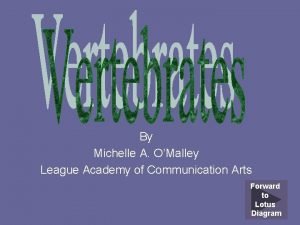 By Michelle A OMalley League Academy of Communication