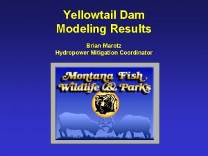 Yellowtail Dam Modeling Results Brian Marotz Hydropower Mitigation