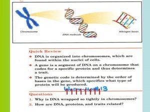 1111 DNA Deoxyribonucleic Acid Genetic material of cells
