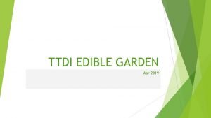 TTDI EDIBLE GARDEN Apr 2019 Mission Objectives 3