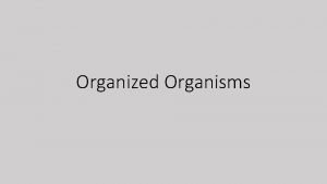 Organized Organisms Organized Organisms Classification an organization system