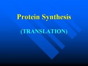 Protein Synthesis TRANSLATION Why is protein very important