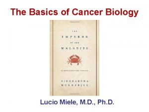 The Basics of Cancer Biology Lucio Miele M